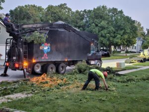 storm damage tree removal