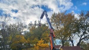 tree removal cost