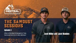 Who is the best emergency tree removal service in Des Moines?