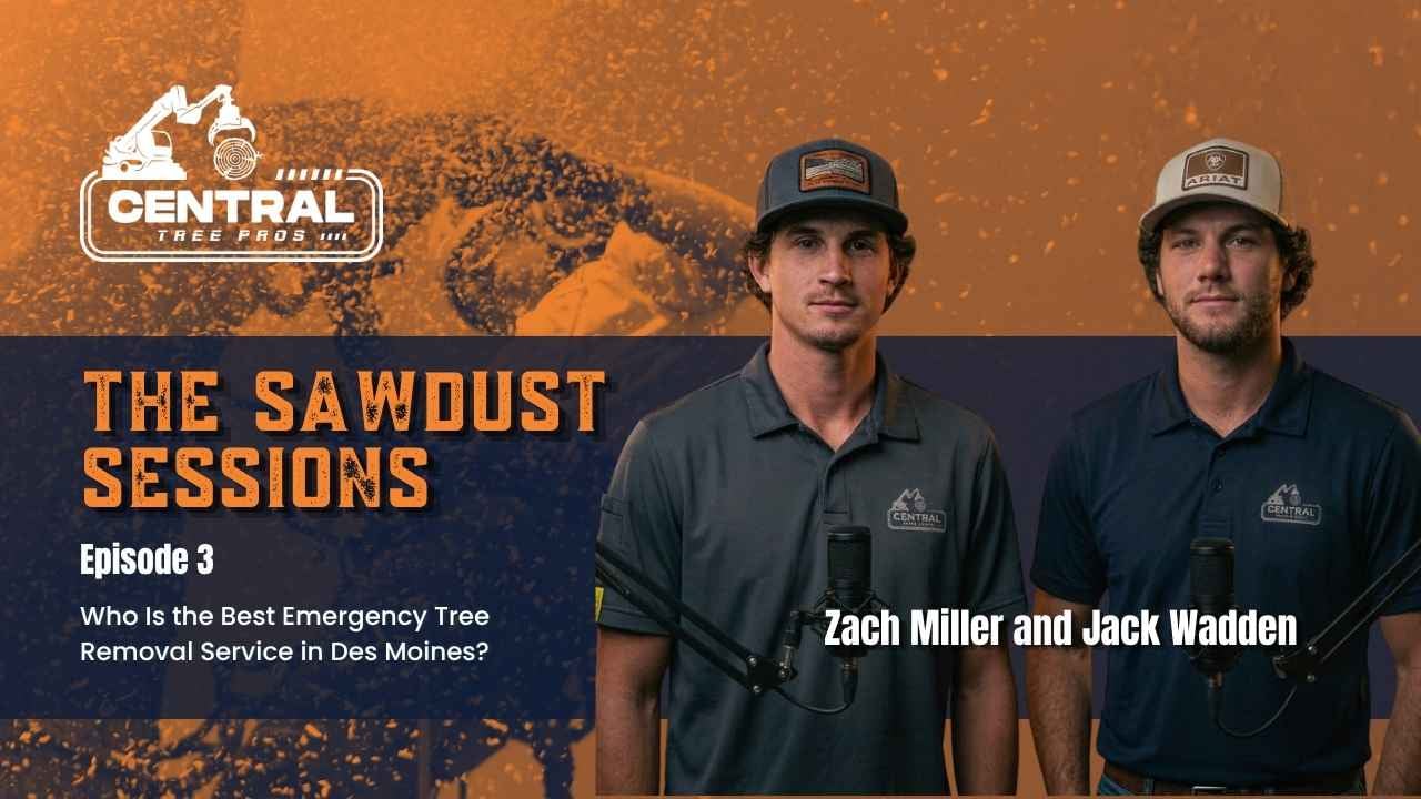Who is the best emergency tree removal service in Des Moines?